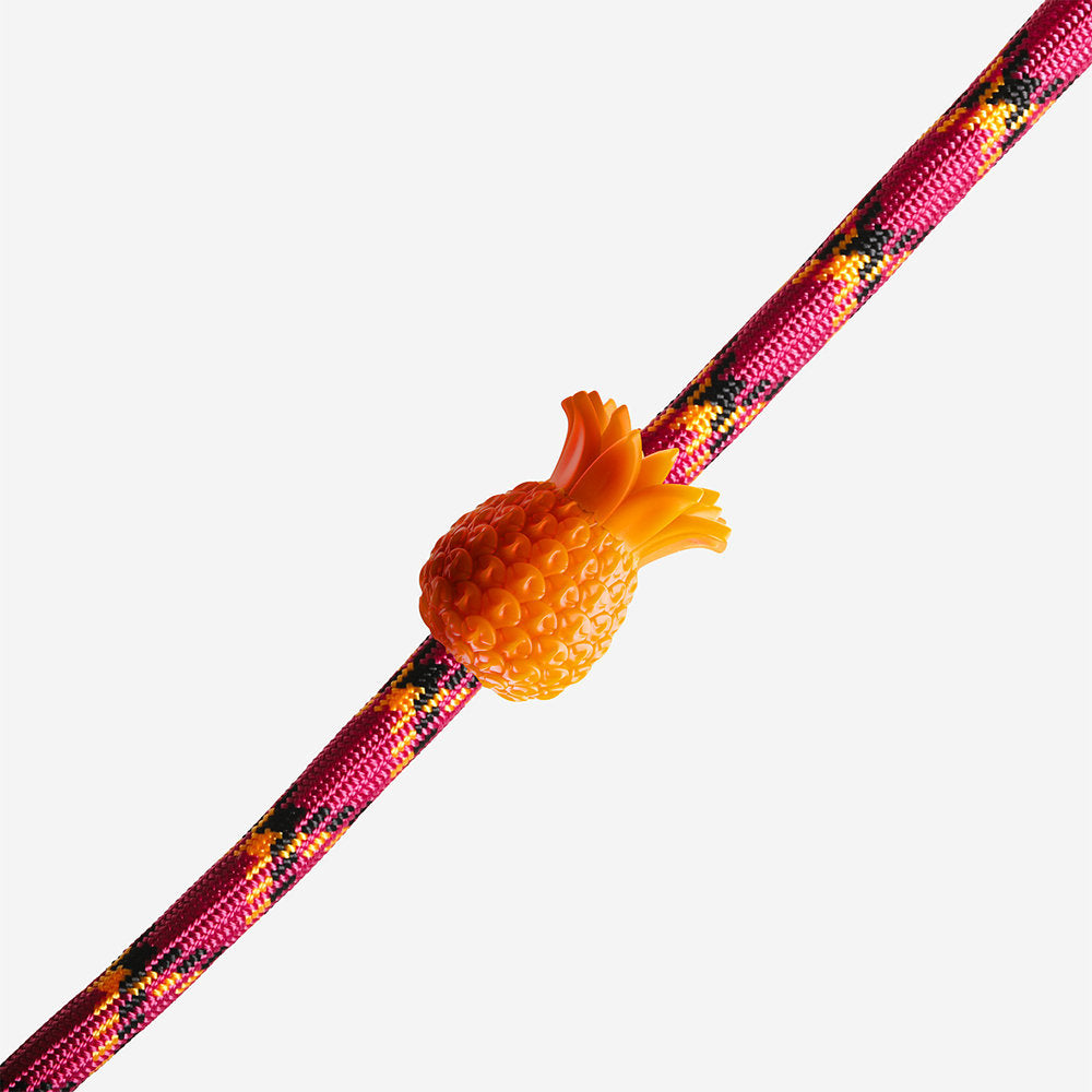 Zee.Pinz Ananas