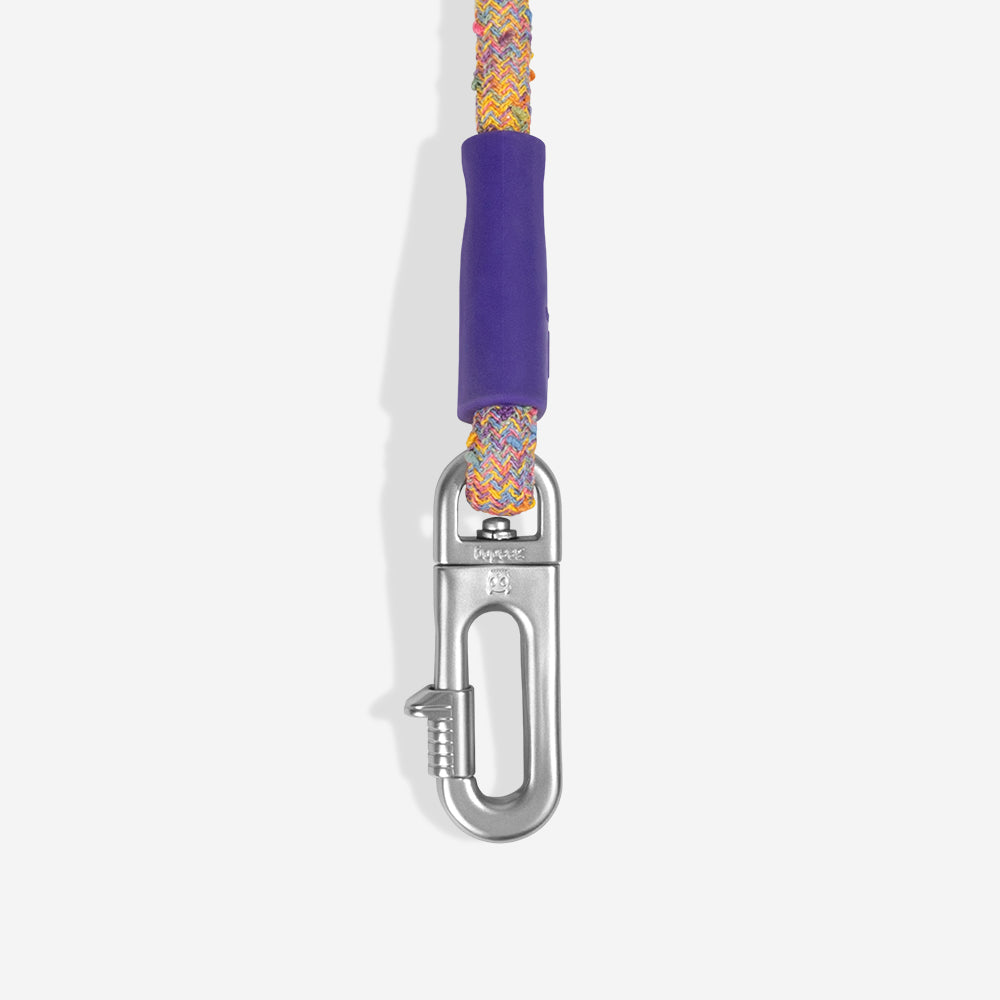Hands-Free Leash Fuse Ufo