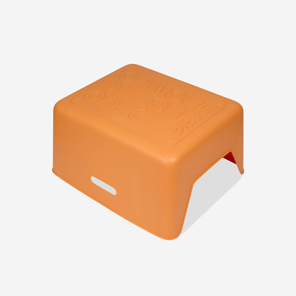 Litière pour Chat Orange CDSG