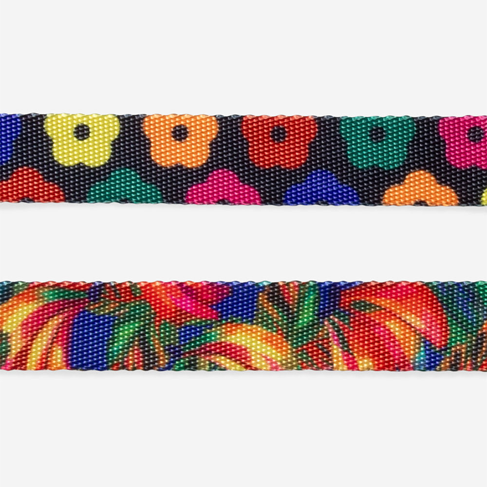 Farm Rio Samba Cat Collar