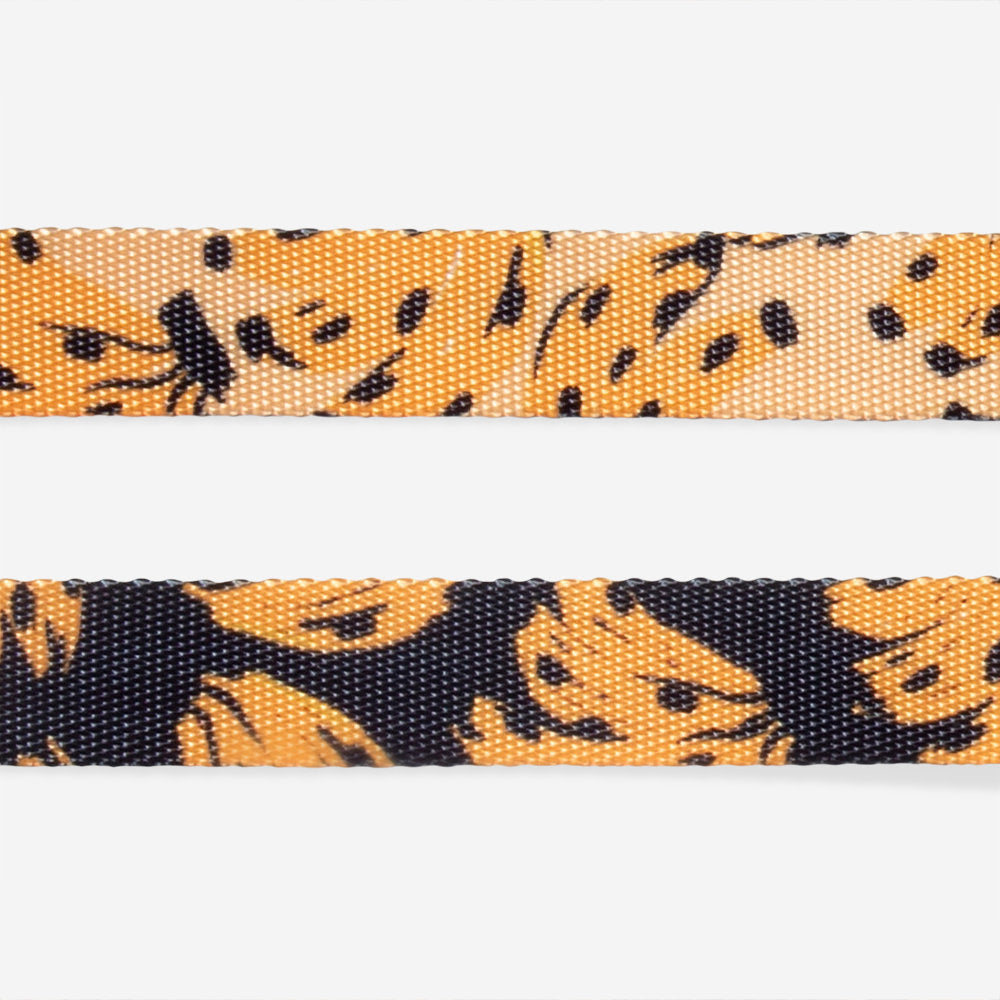 Farm Rio Bossa Banana Cat Harness and Leash Set