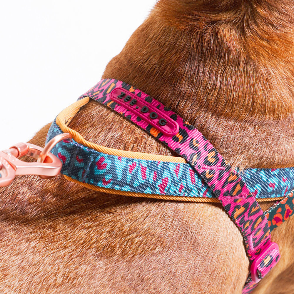 Farm Rio Selva Norwegian Softer-walk Harness
