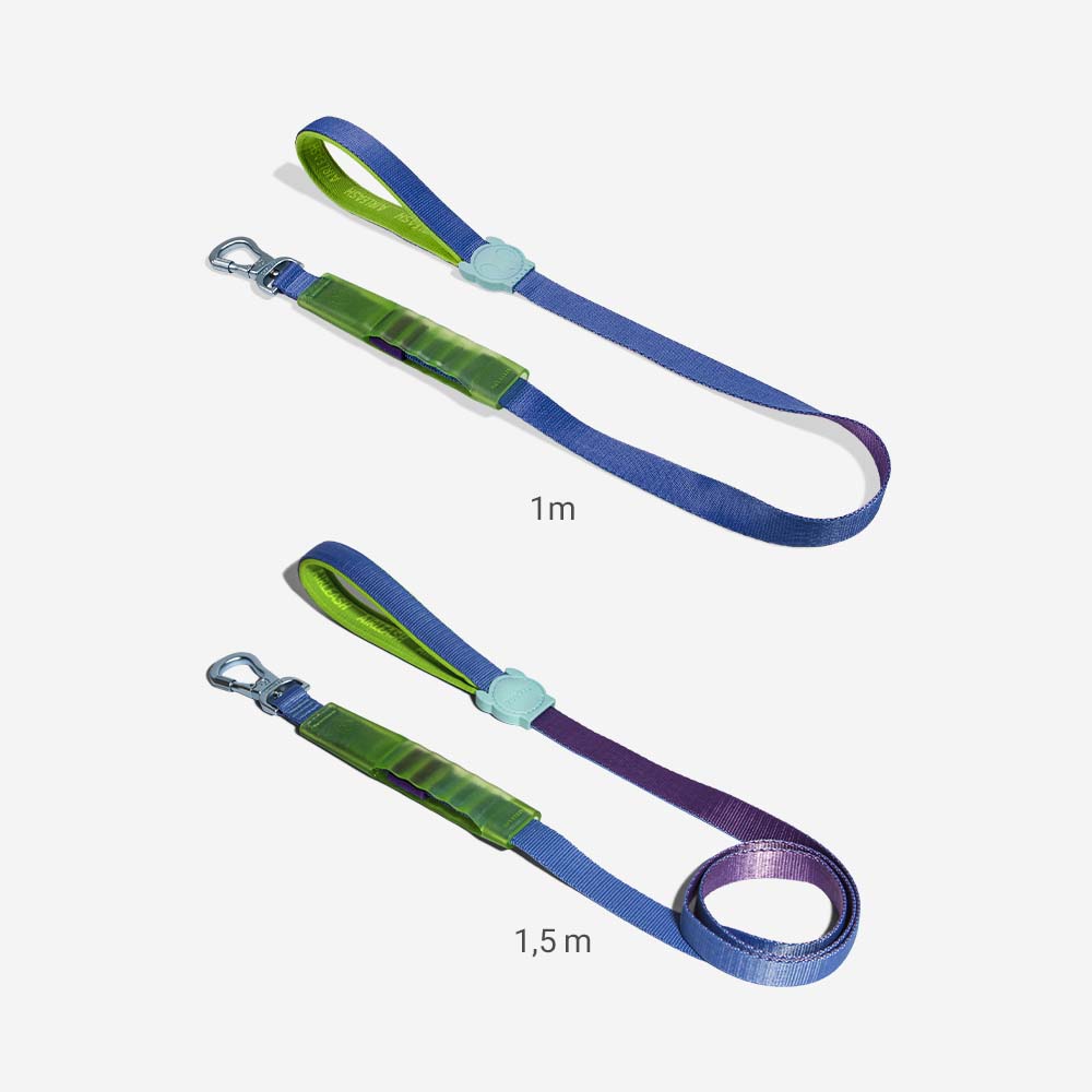 Cali Uno Air-leash Shock Absorbing Leash