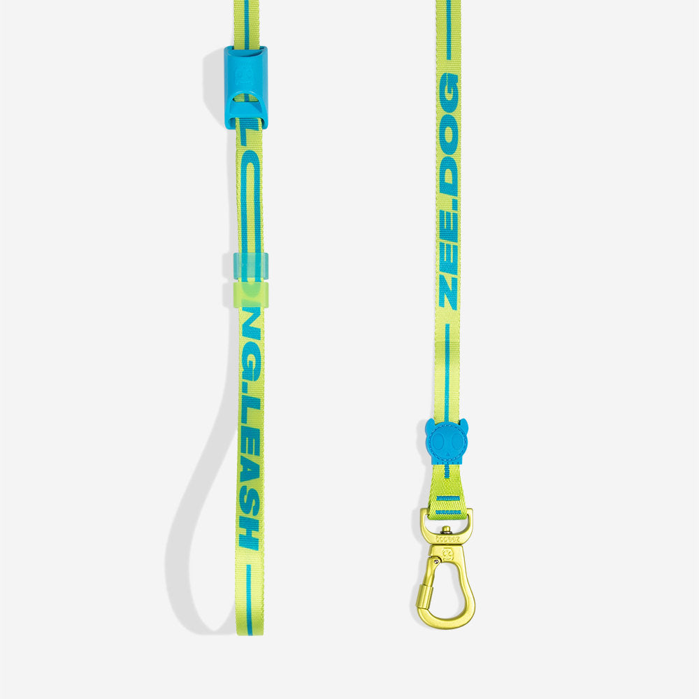 Rayo Long Leash Extendable Leash