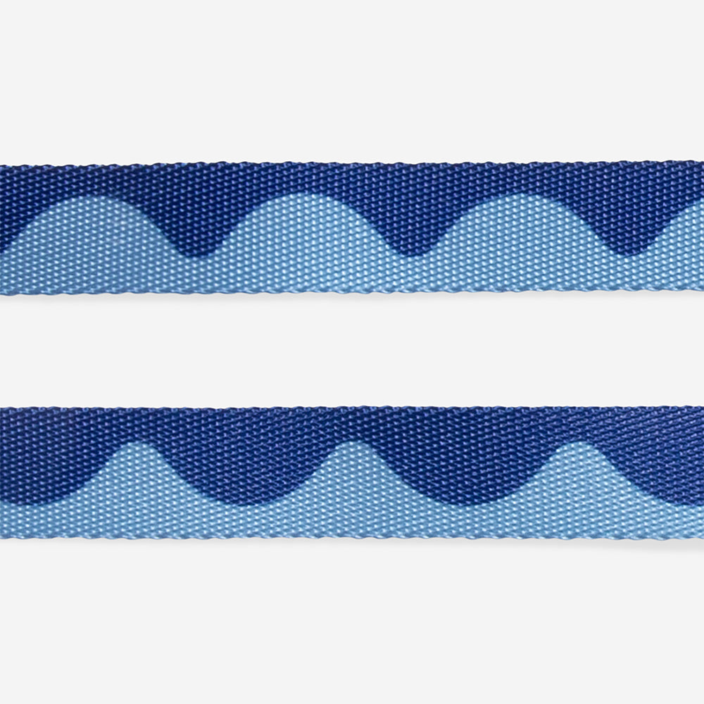 Swell Leash
