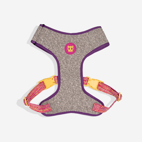 Fuse Chop Adjustable Mesh Harness