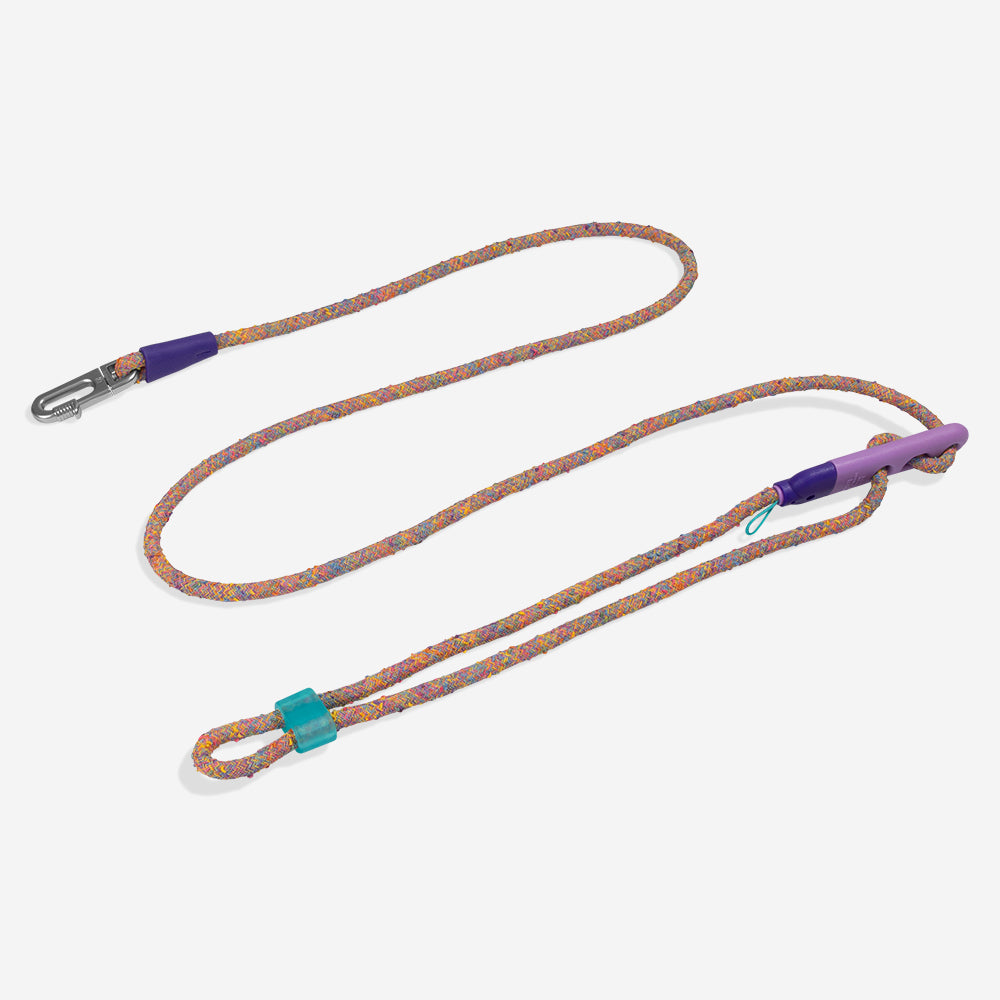 Hands-Free Leash Fuse Ufo