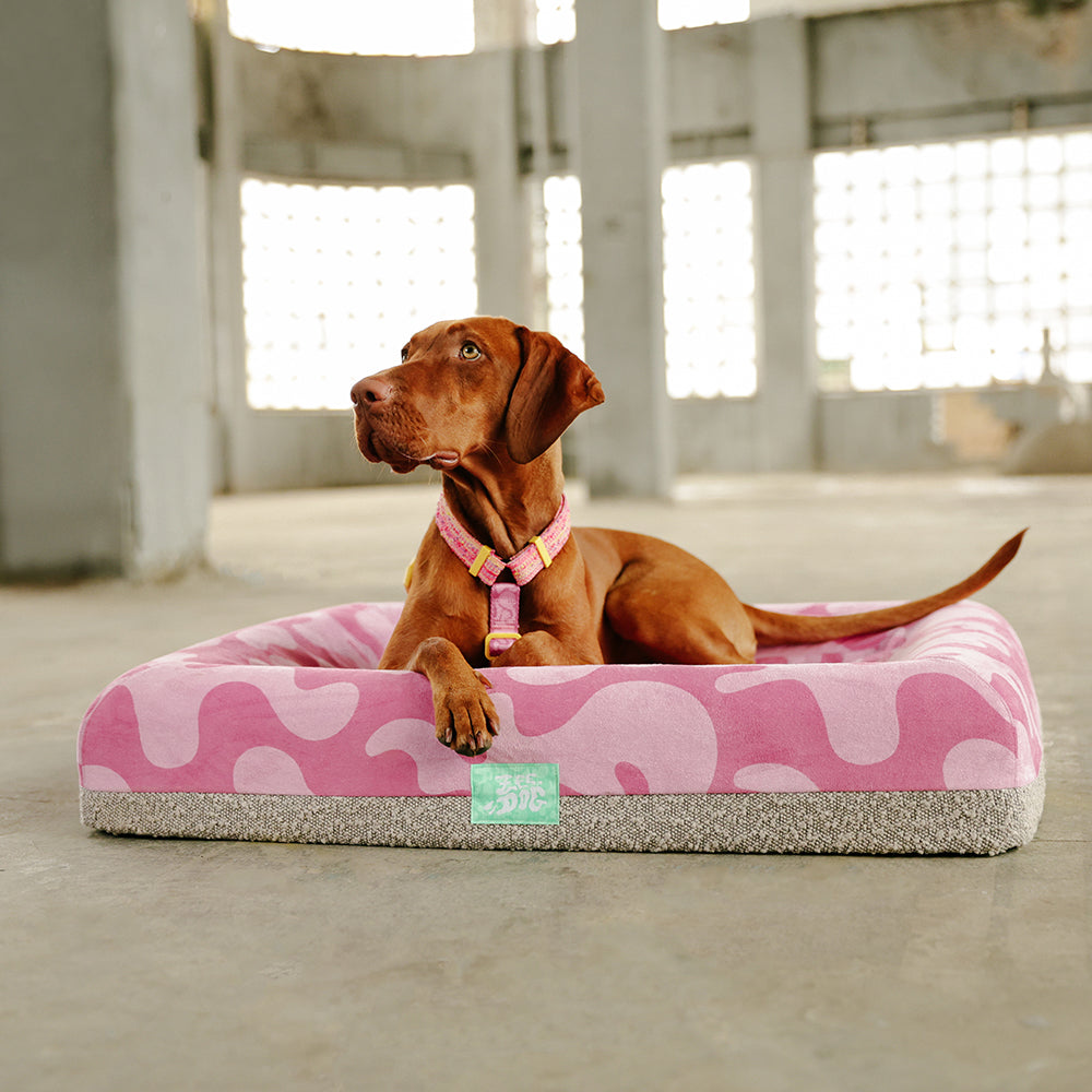 Zee.Bed Fuse Chop Dog Bed