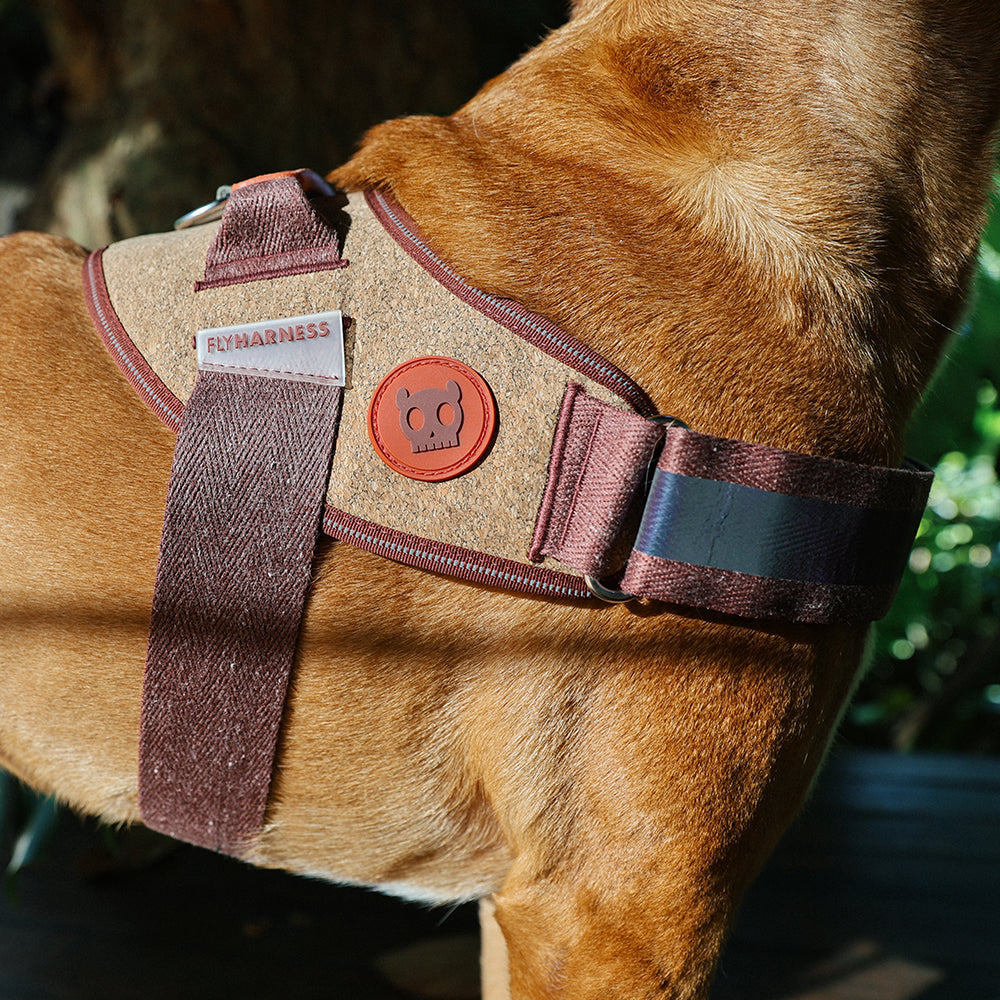 Pettorina con Maniglia - Flyharness Naturals 2.0 Cocoa