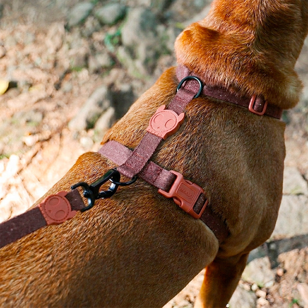 Pettorina ad H Naturals 2.0 Cocoa
