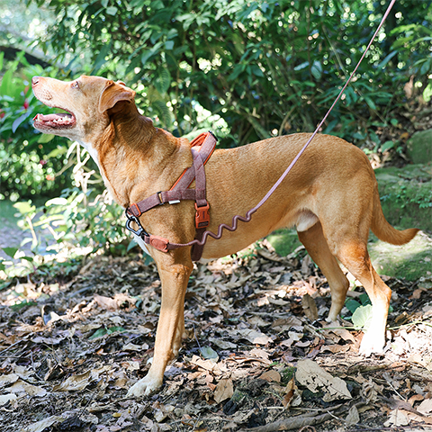 Pettorina Norvegese Softer-Walk Naturals 2.0 Cocoa
