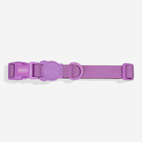 NeoPro Ultra Violet Collar