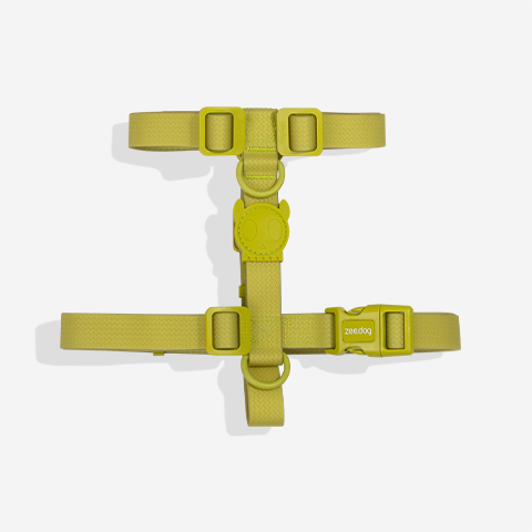 NeoPro Matcha H-Harness