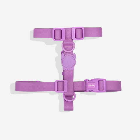 NeoPro Ultra Violet H-Harness