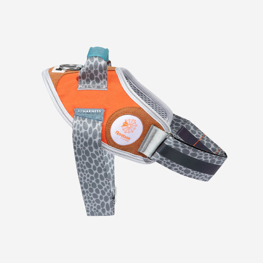 Reebok Suede FlyHarness with Handle