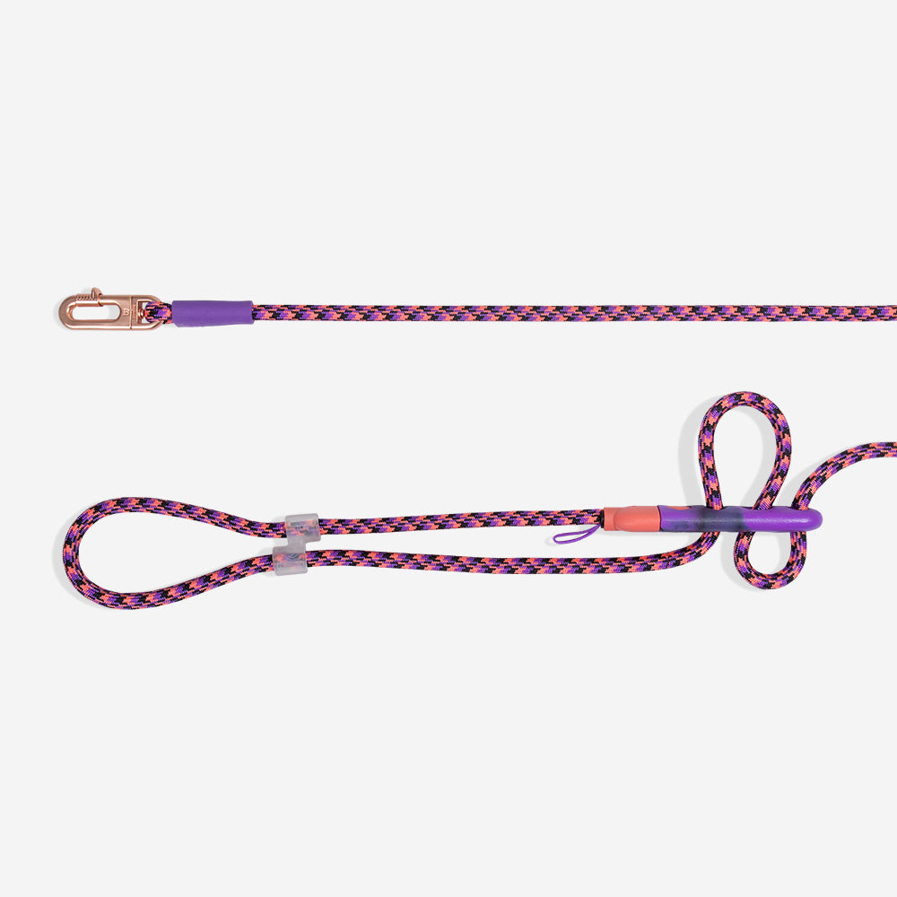Reebok Court Hands Free Leash