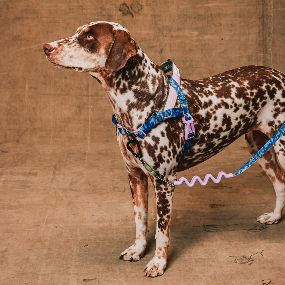 Reebok Trekk Norwegian Softer-walk Harness 