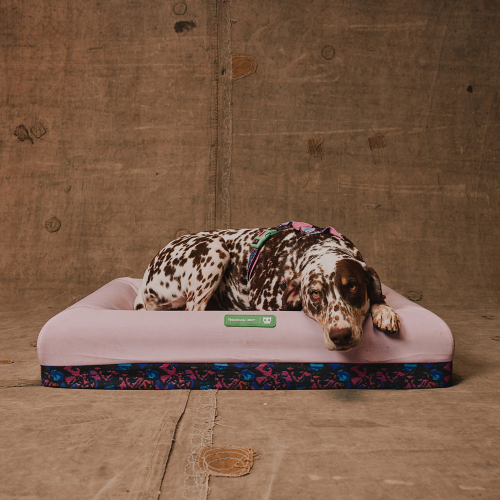 Reebok Aerobic Zee.Bed Dog Bed