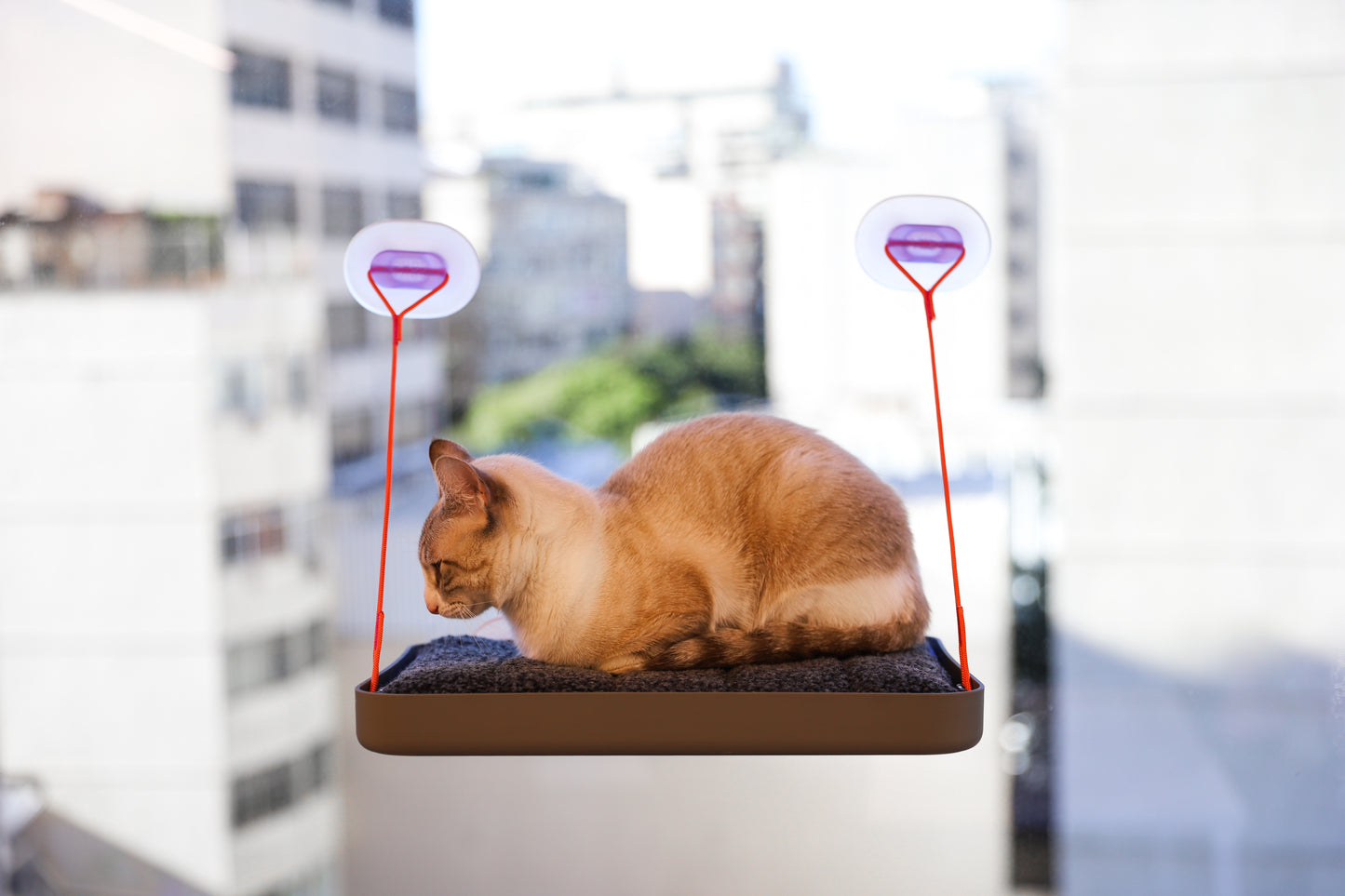 Cat bed Sky.bed CDSG