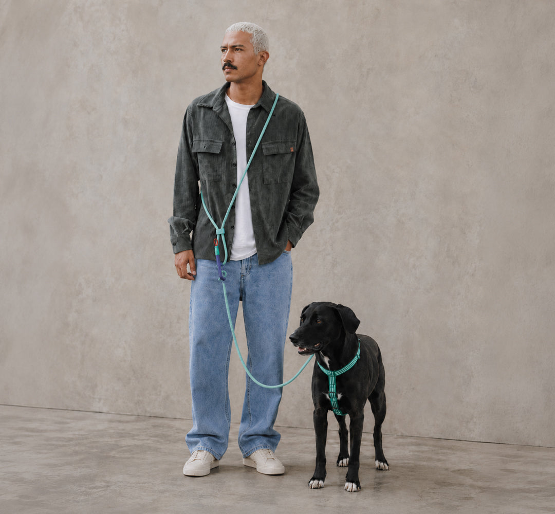 Guinzaglio Mani Libere Velvet Vibes Vert