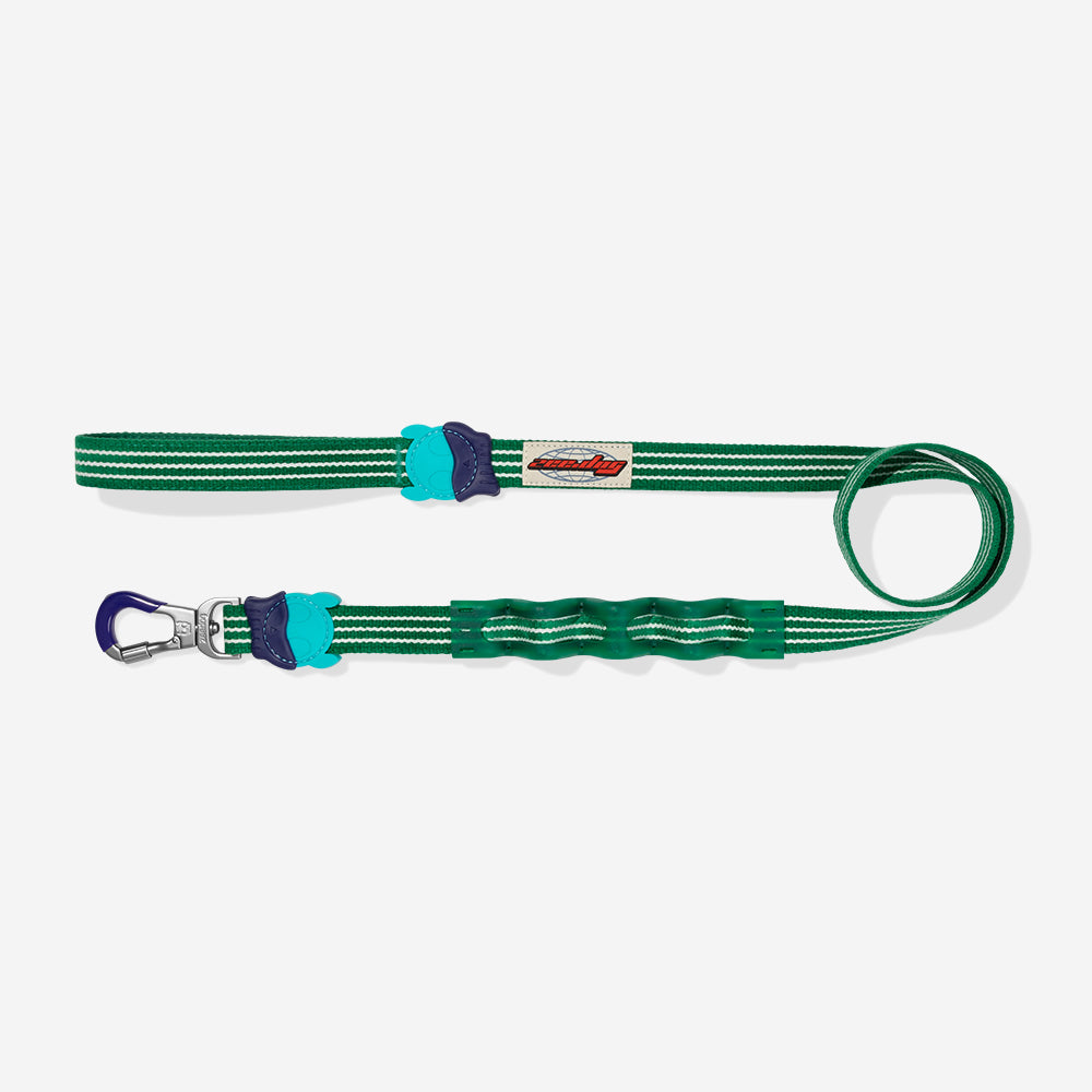 Laisse amortie Velvet Vibes Vert