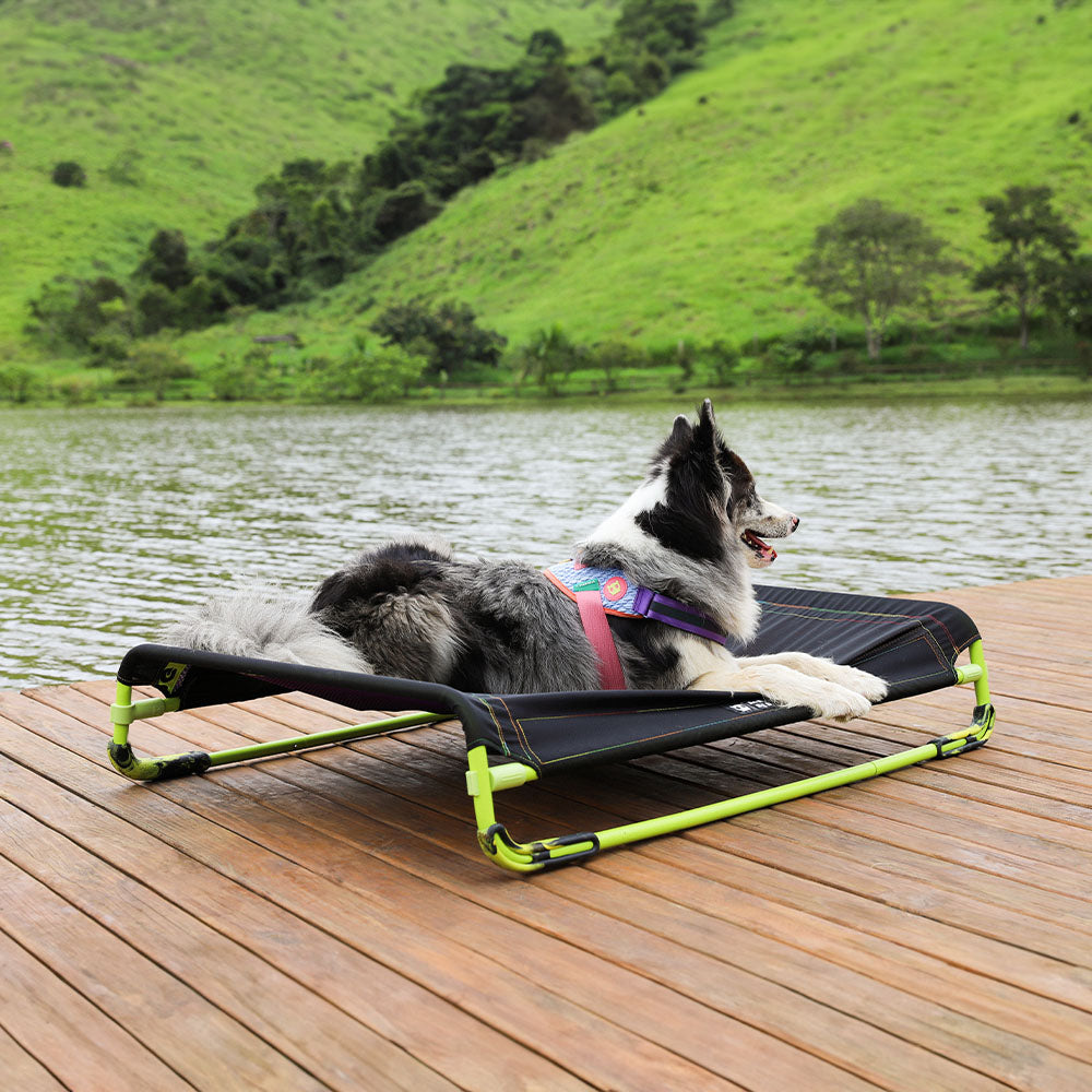 Air.Bed Black Dog Bed