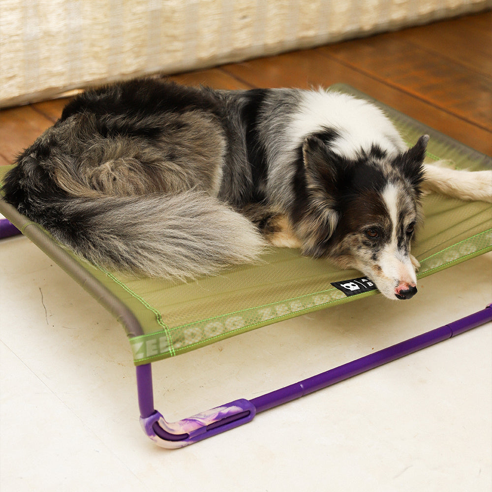 Air.Bed Green Dog Bed