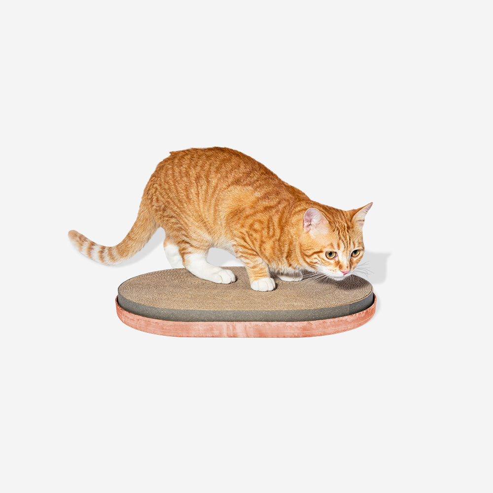 Citrus Cat Scratching Post