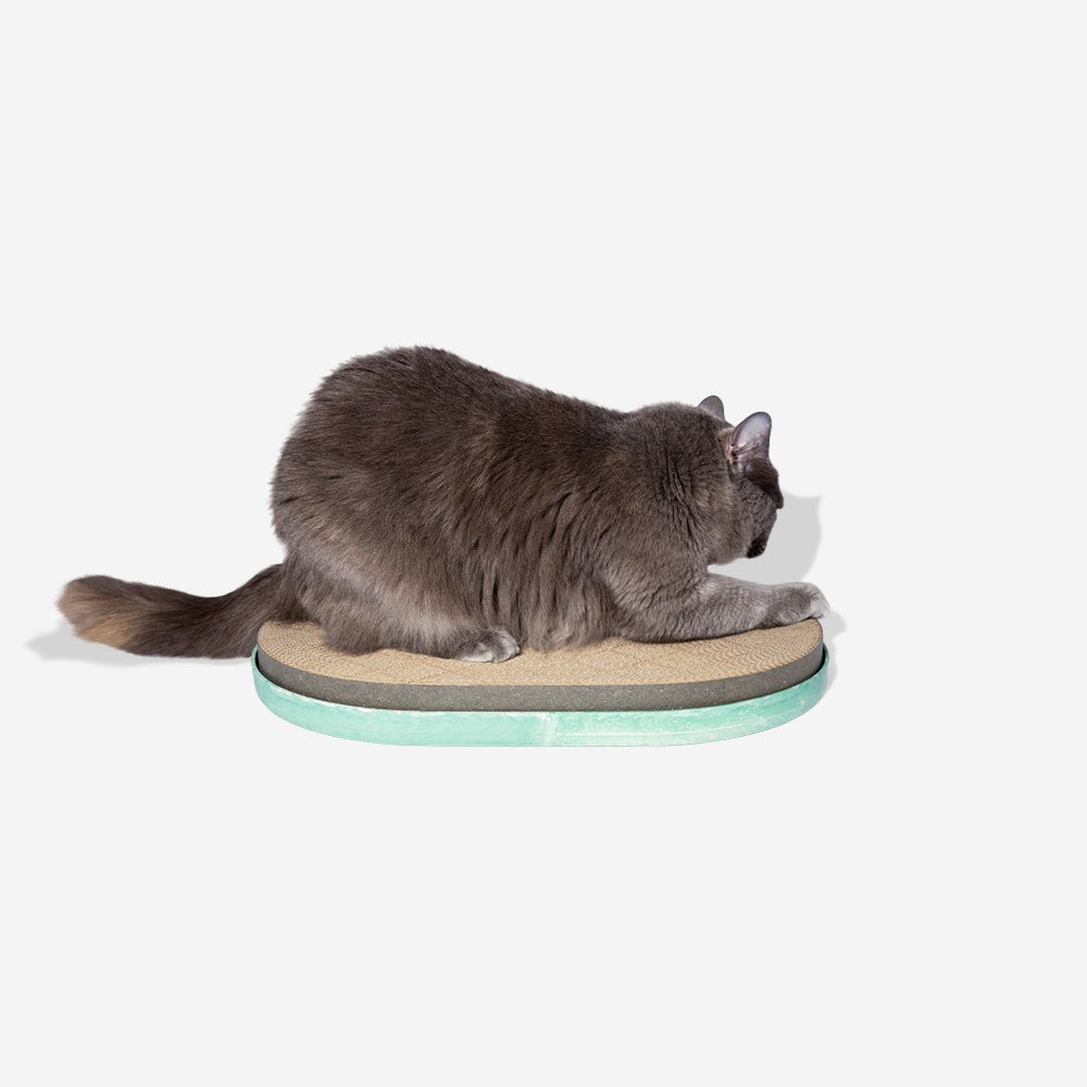 Mint Cat Scratching Post