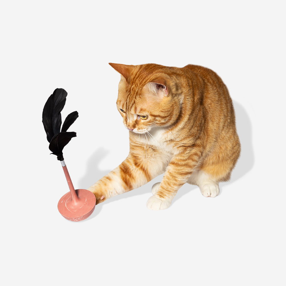 Teaser Citrus