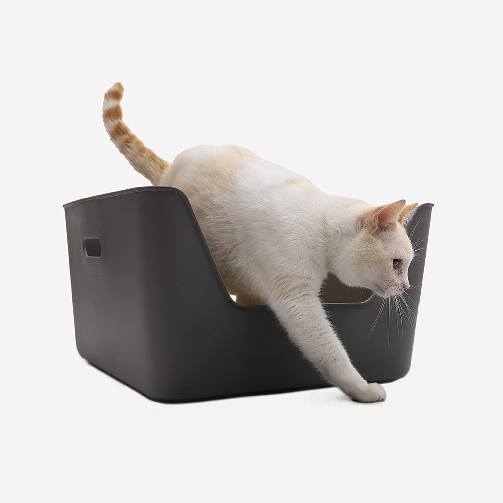 Litière pour Chat Grise CDSG