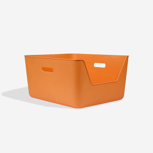 Orange Cat Litter CDSG