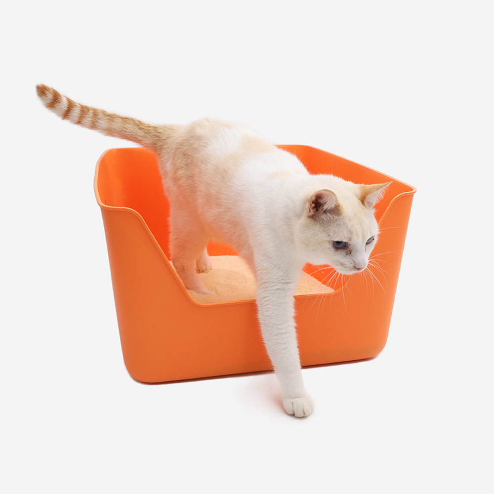 Litière pour Chat Orange CDSG