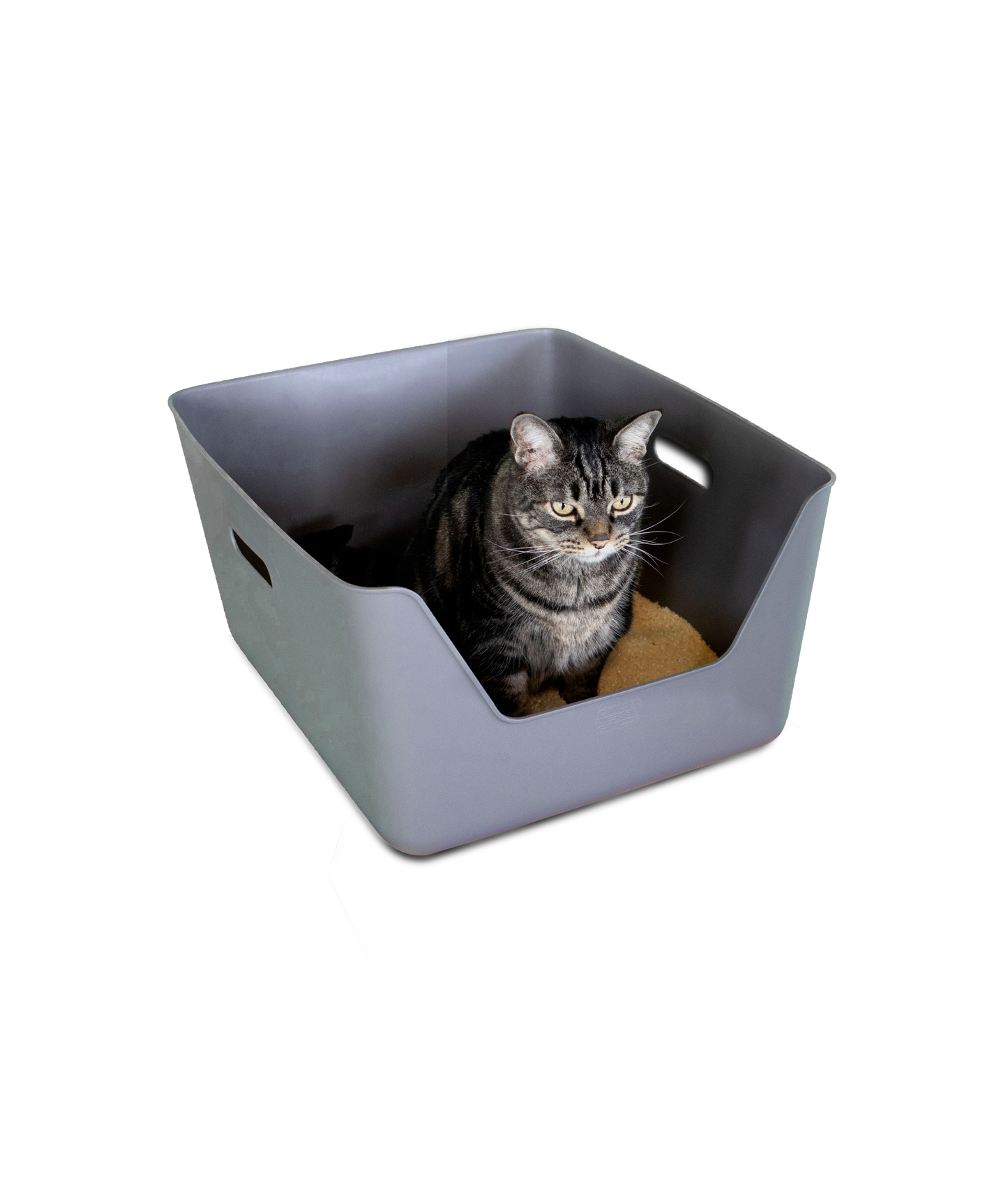 Arenero para Gato Gris CDSG
