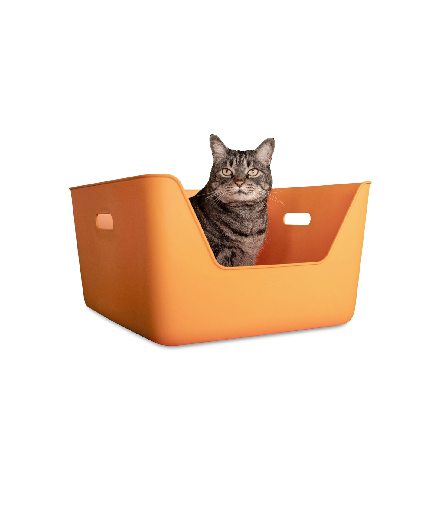 Areia para Gato Laranja CDSG