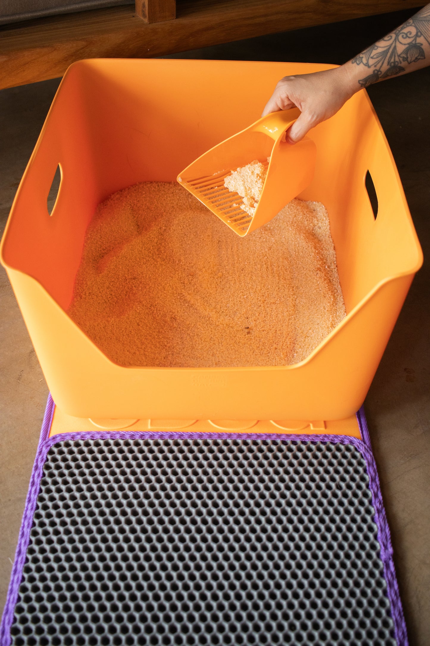 Areia para Gato Laranja CDSG