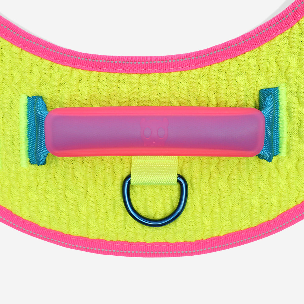 Harness with handle - Flyharness Cmyk