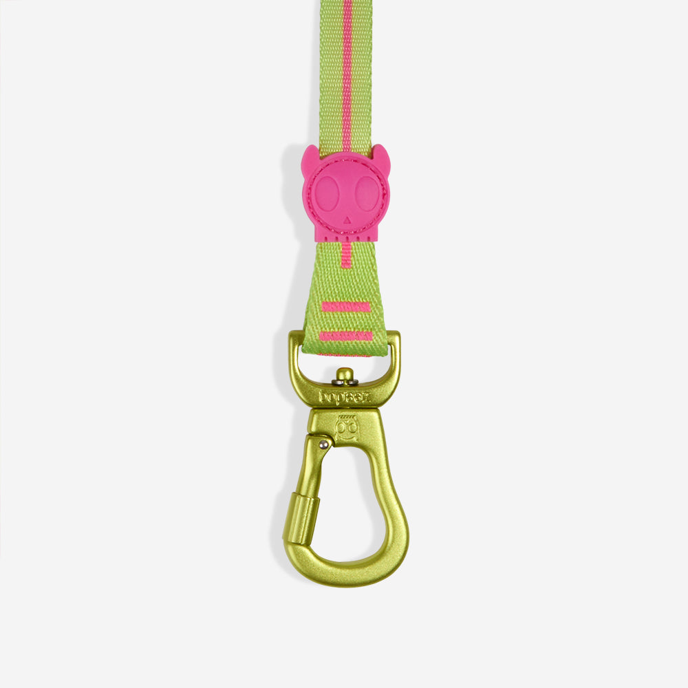 Extendable Leash Long Leash Cmyk
