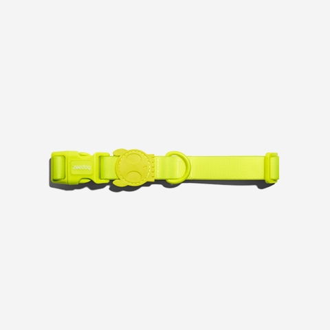 Neopro Lime Hundehalsband