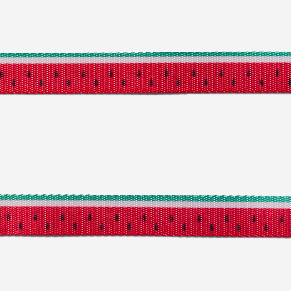 Lola Cat Collar