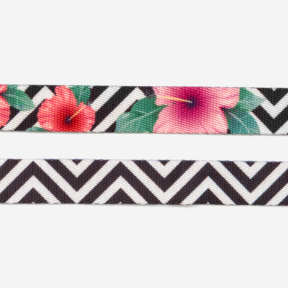 Mahalo Cat Collar