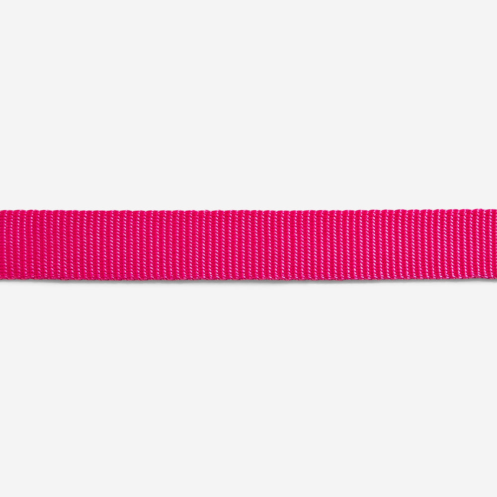 Pink Led Cat Collar