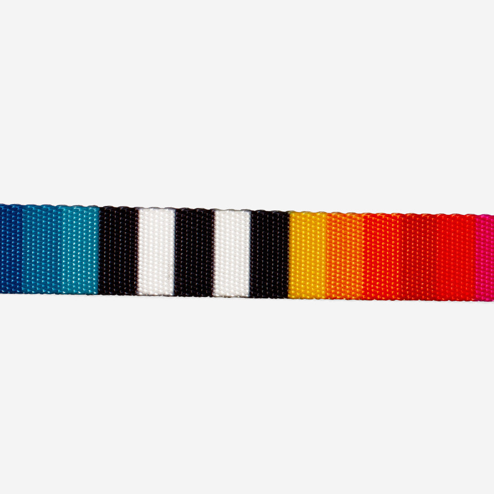 Prism Cat Collar