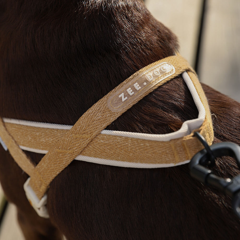 Norwegian Softer-walk Harness Dune