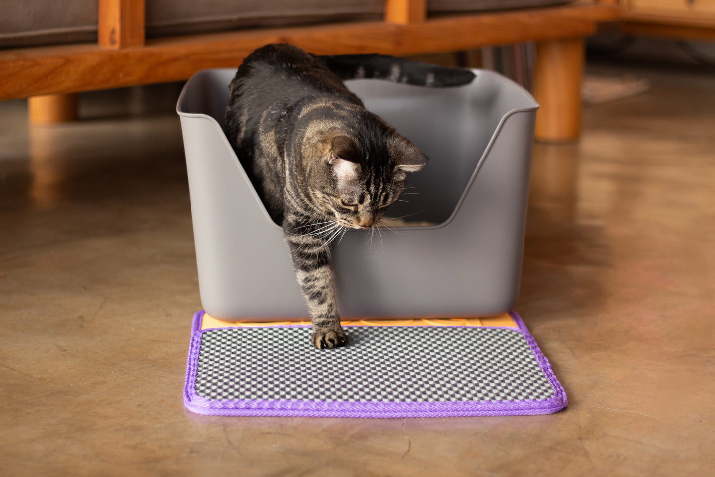 Arenero para Gato Gris CDSG