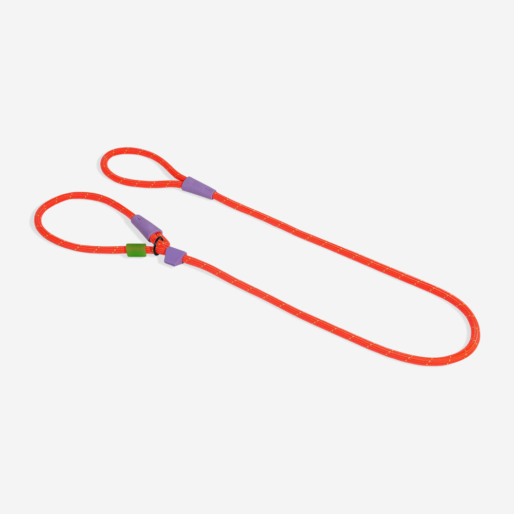 Everest Slip-N-Lock semi-choke leash