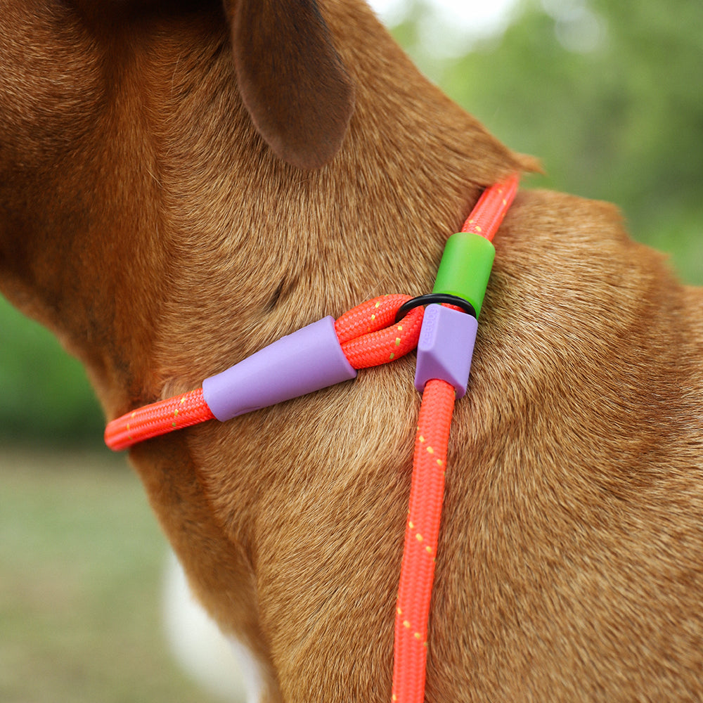 Everest Slip-N-Lock semi-choke leash