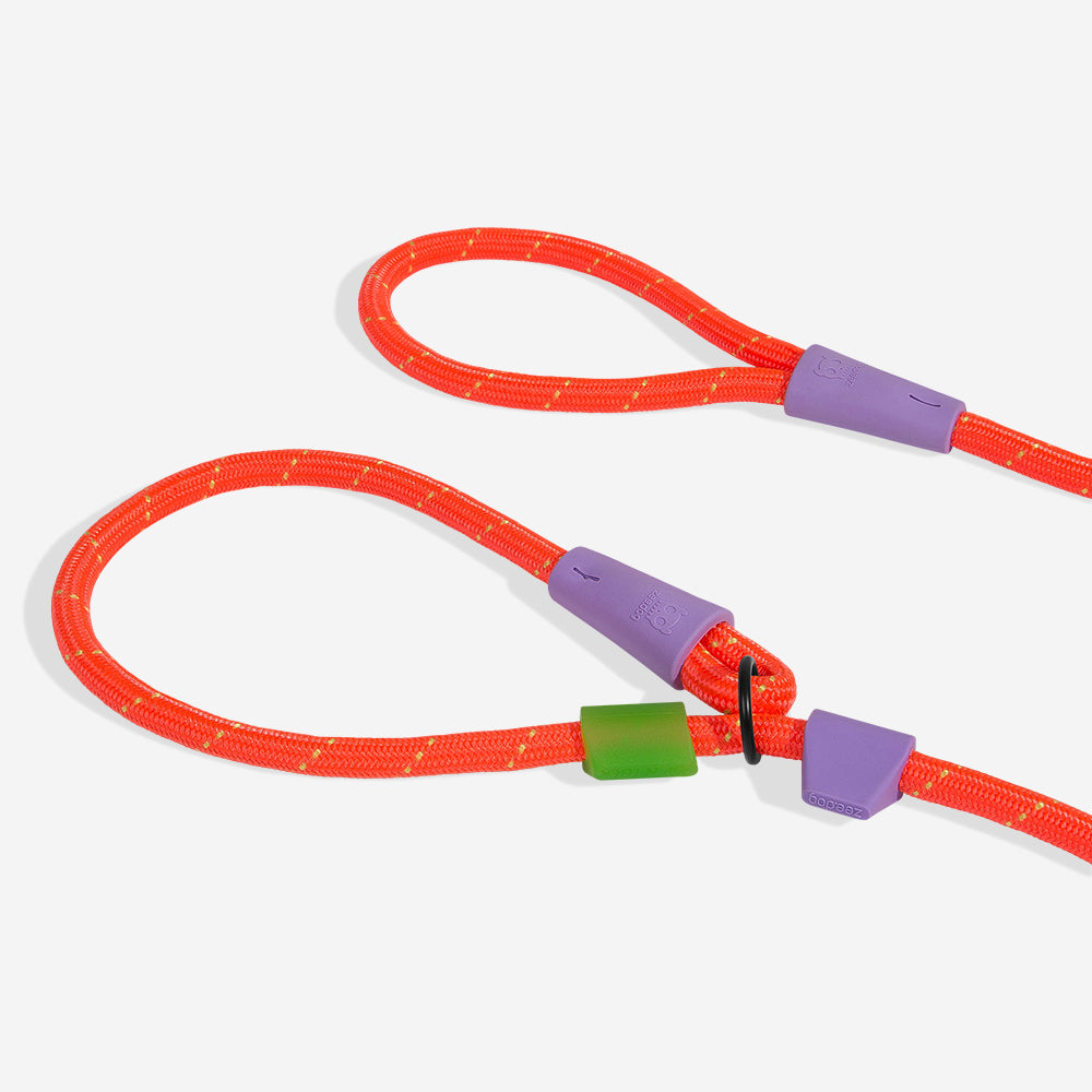 Everest Slip-N-Lock semi-choke leash
