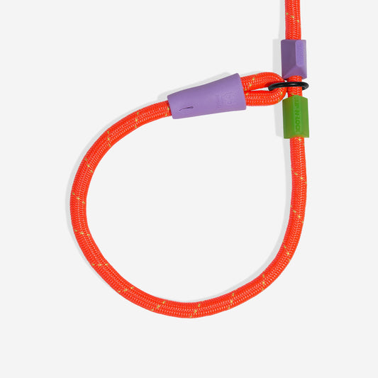 Everest Slip-N-Lock semi-choke leash