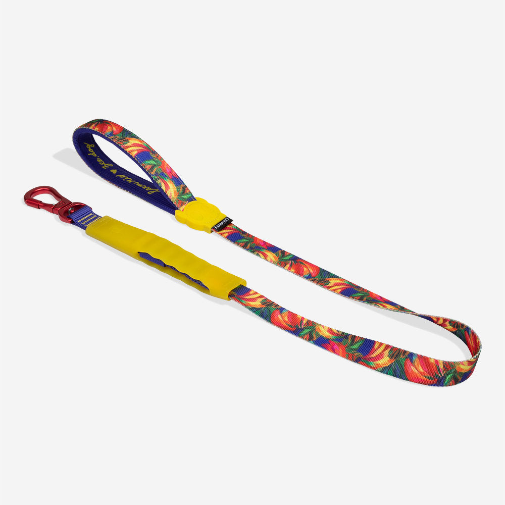 Farm Rio Samba Air-Leash Shock Absorbing Leash